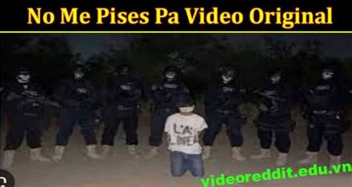 Unraveling the Magic of "Video No Me Pises Pa"