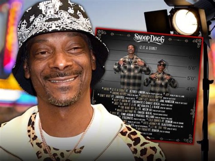 Was Snoop Dogg Ever a Criminal? Unveiling the Life of a Hip-Hop Legend