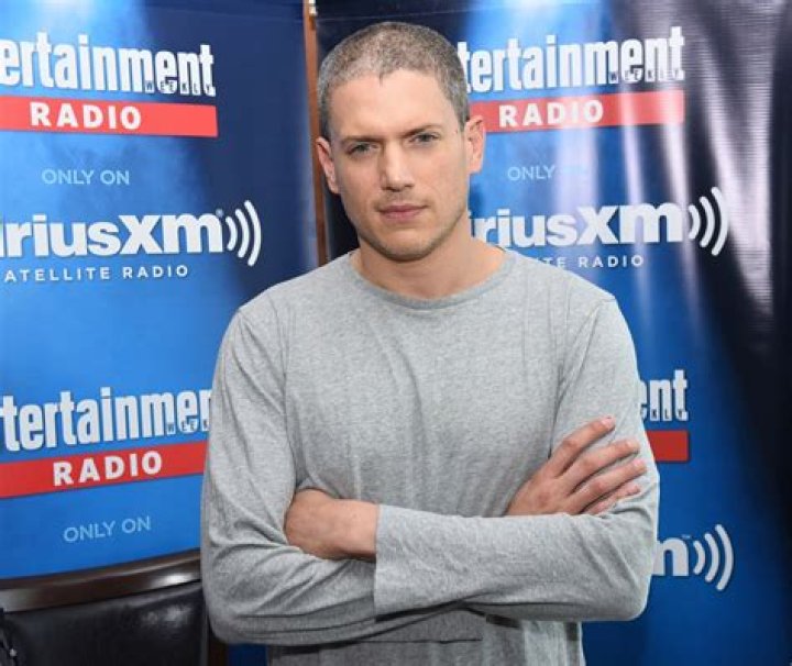 Wentworth Miller Net Worth: A Deep Dive into the Financial Success of the Prison Break Star
