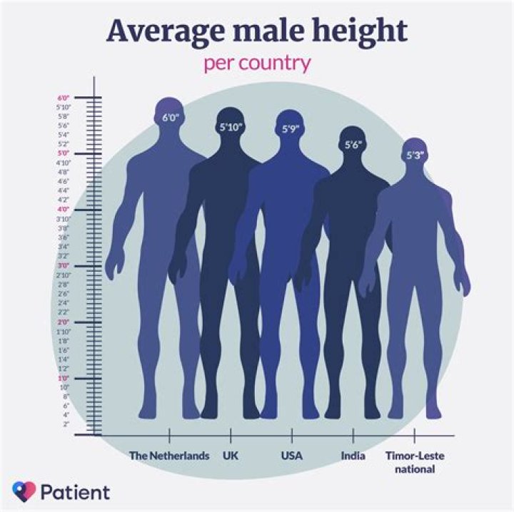 Average Height of a Woman in the US: A Comprehensive Overview