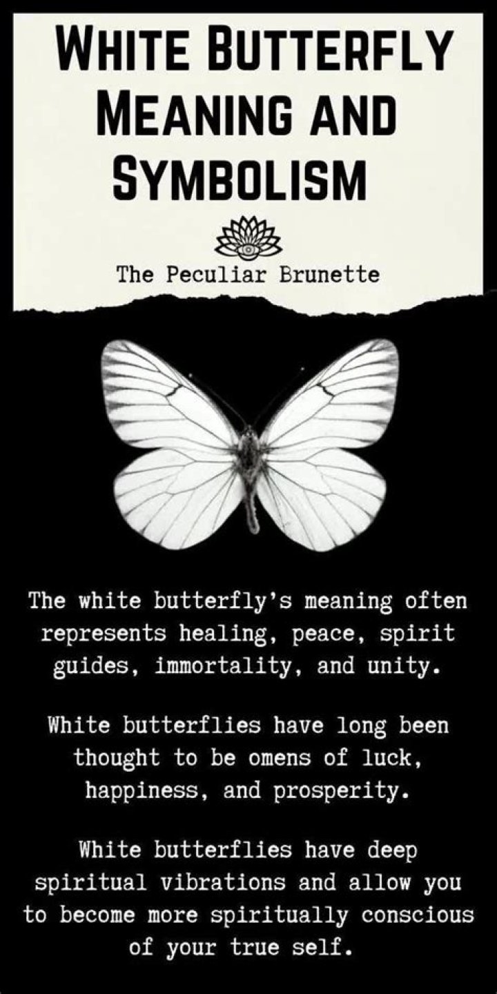 Unveiling the Mystique of White Butterfly Symbolism