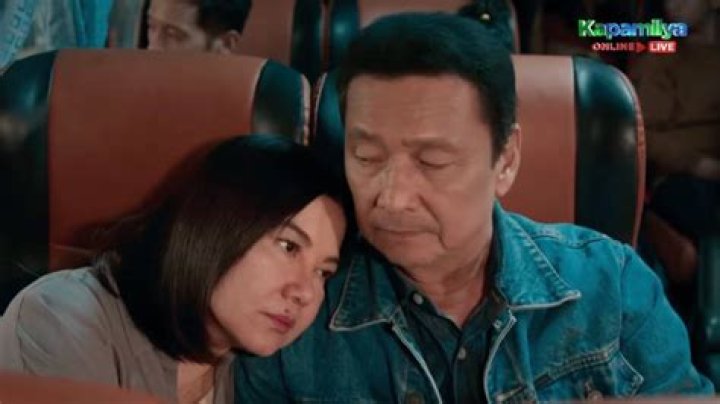 Who Is the Wife of Lito Lapid Now?