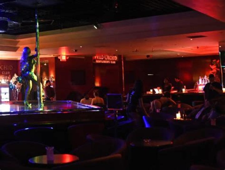 Exploring Wild Orchid Reno: A Hidden Gem in Nevada