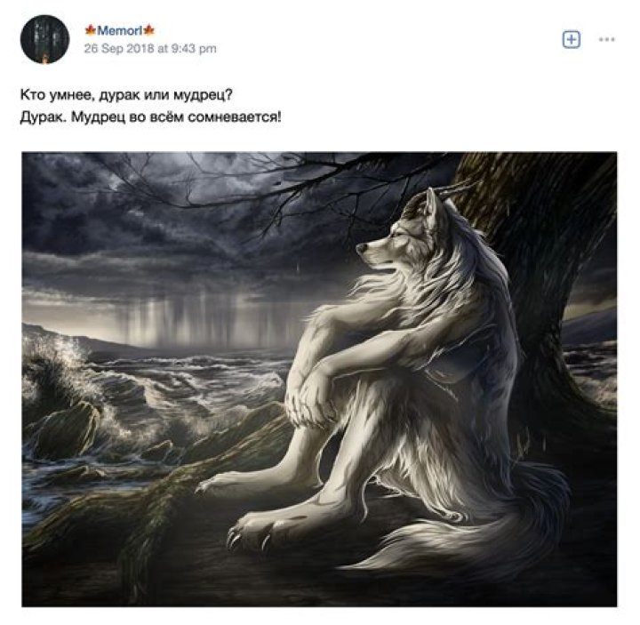 Understanding the Wolf Sitting Meme: A Deep Dive into Its Origin and Impact