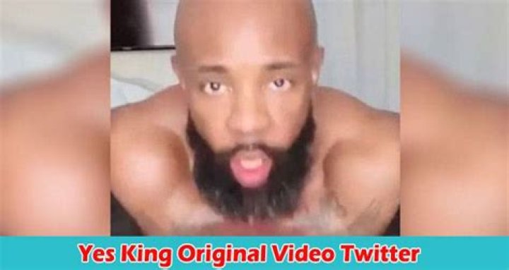 Unveiling the Charm of Yes King Original Video