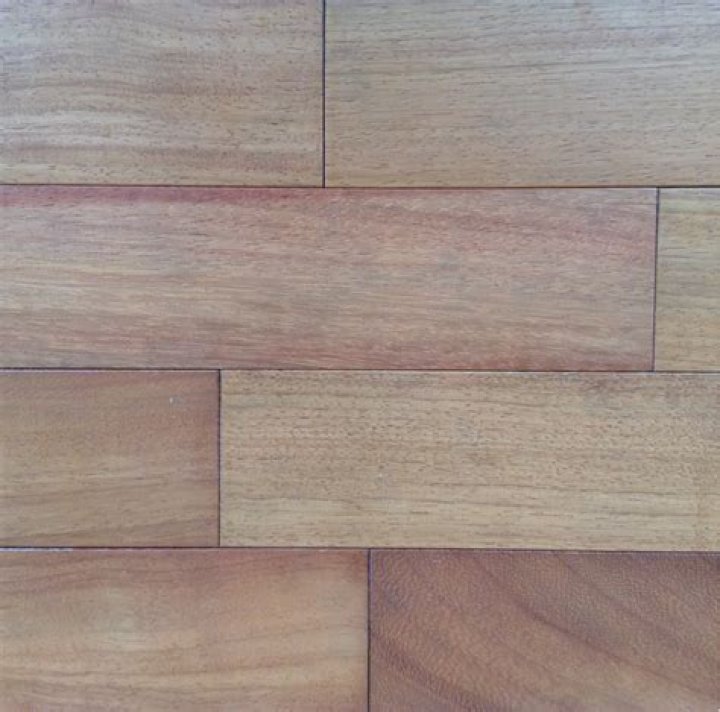 Unlocking the Mysteries of Zefoy com TikTok